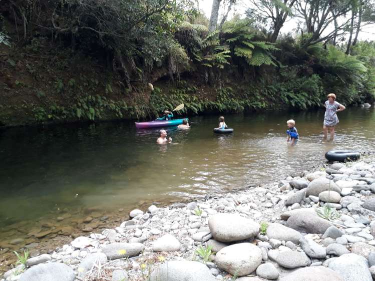 520 Wright Road Aongatete_18