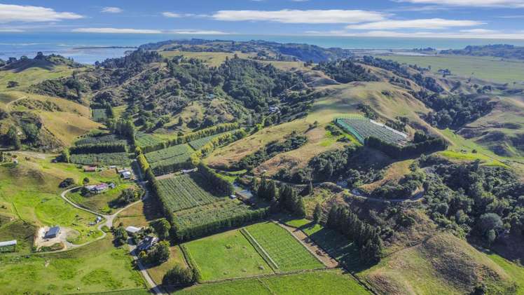 443C State Highway 2 Opotiki_15