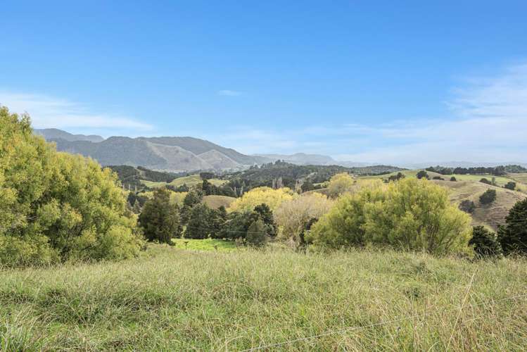 Kirikopuni Road Parakao_13