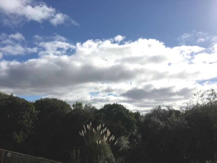 G4/19 Fleet Street Eden Terrace_12