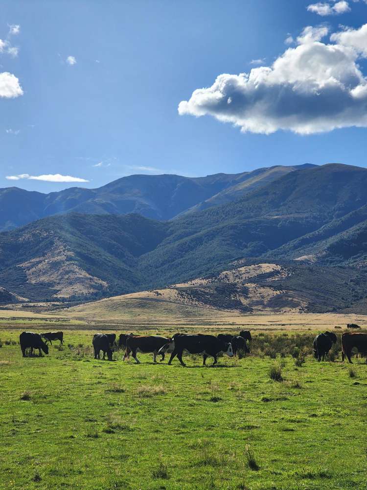 3733 Lees Valley Road Lees Valley_10