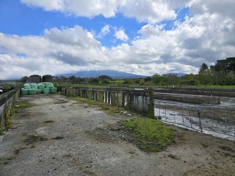 452 Surrey Road Rd 8_15