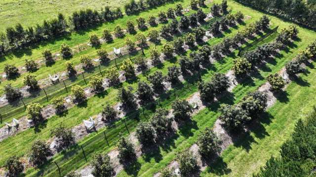 5126 State Highway One Ngataki_2