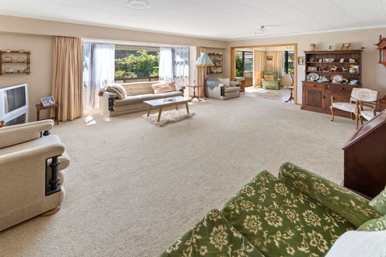 3c Shakespeare Walk The Wood_2