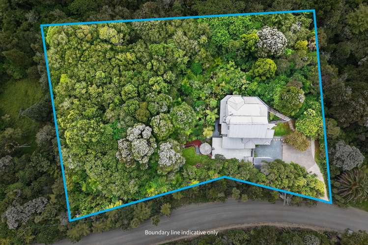 80 Tender Road Dairy Flat_33