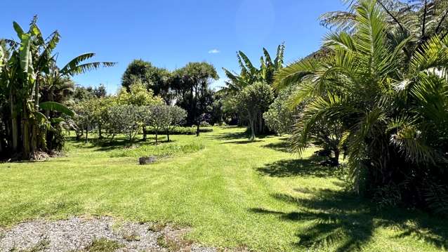 37 Nikau Road, State Highway 67 Hector_1