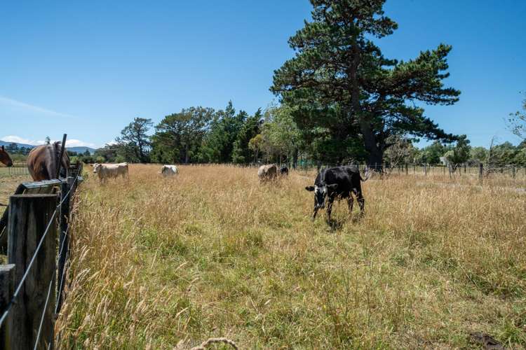 69 Longwood East Road South Featherston_28