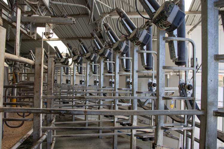 108 Klondyke Terrace Mayfield_42