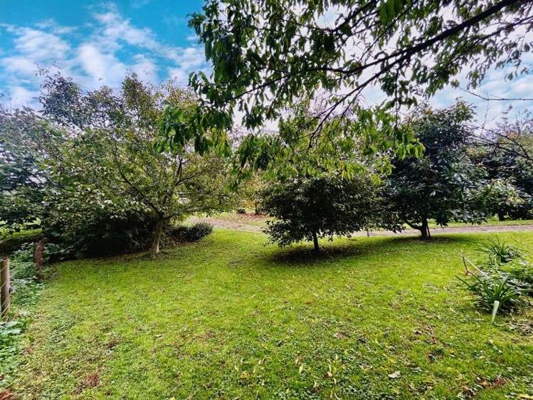 353 Wairakau Road Te Aroha_15