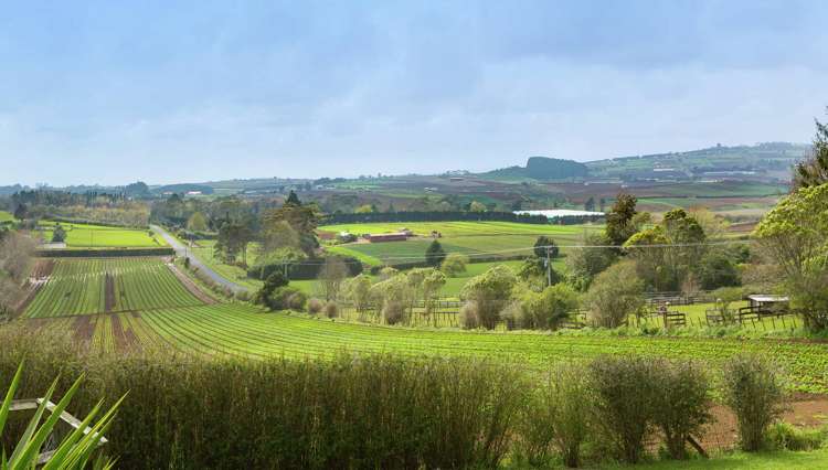 17 Shipherd Road Puni_7