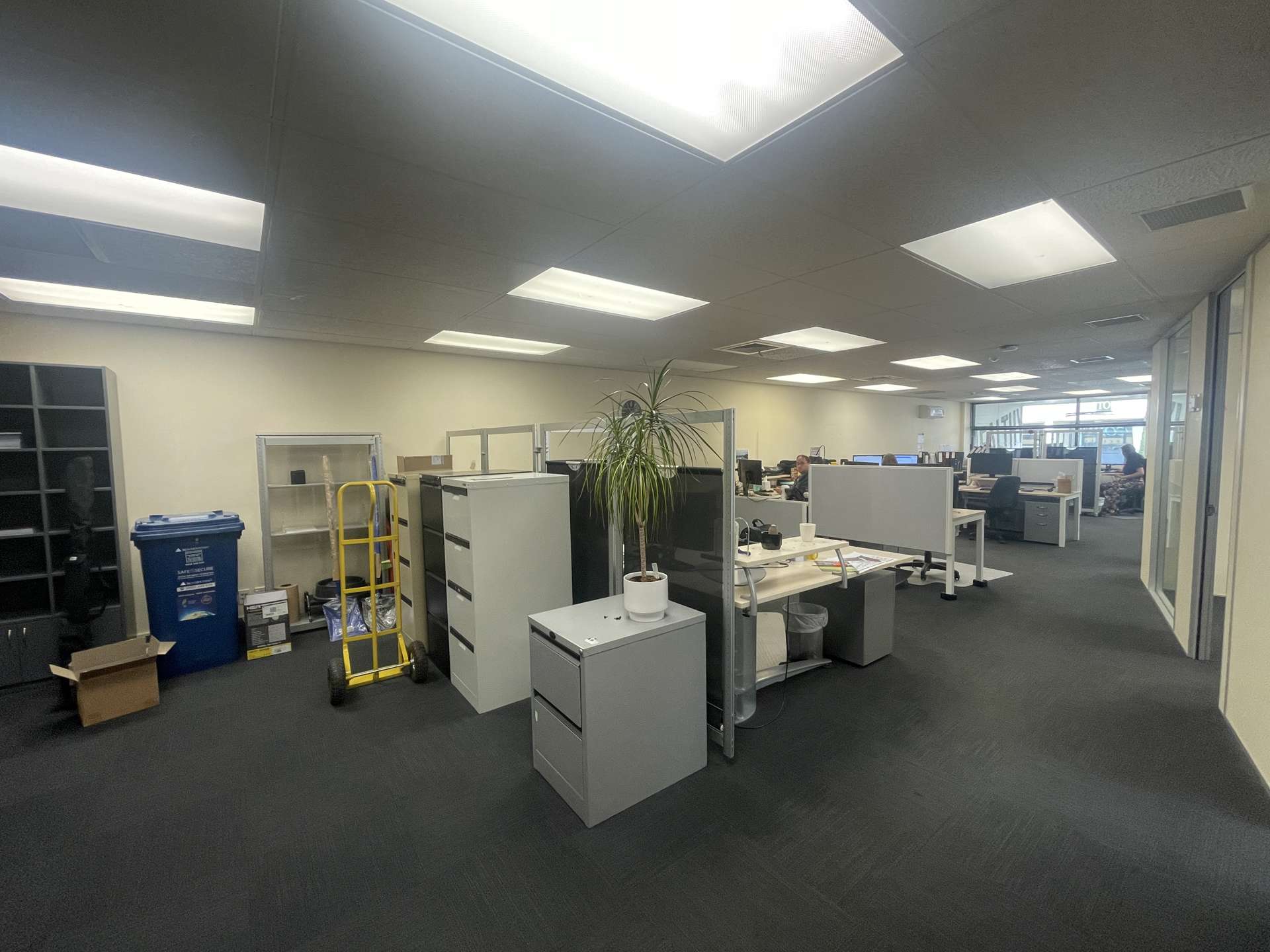 Tenancy A/61 Normanby Road Mt Eden_0