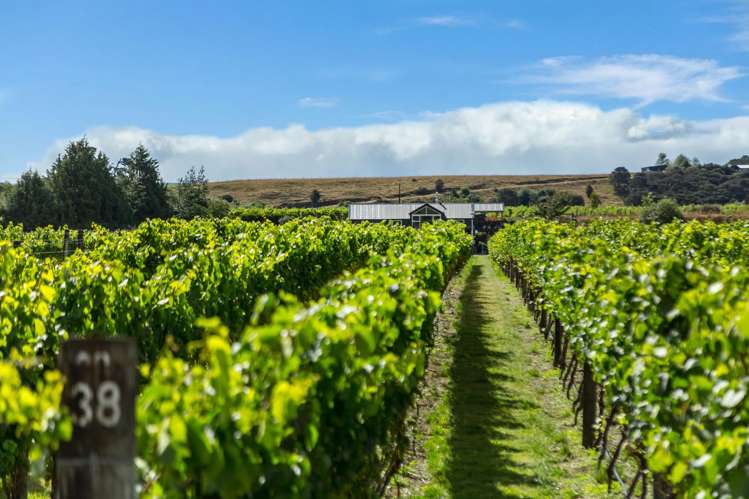 224 Dakins Road East Taratahi_25