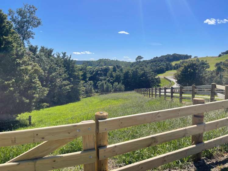 Mangawhai Bush Estate_4