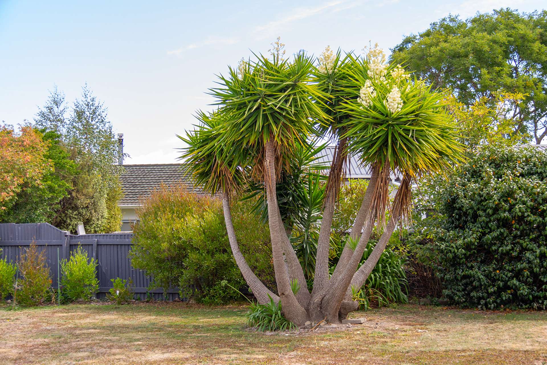 81b Venice Street Martinborough_0