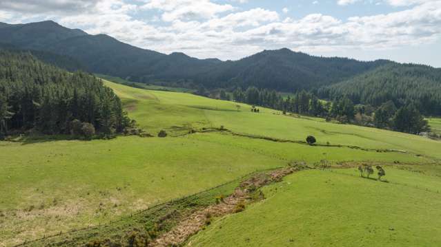 1642 Motueka Valley West Bank Road (Gateway and Lower Hilltop) Motueka Valley_3
