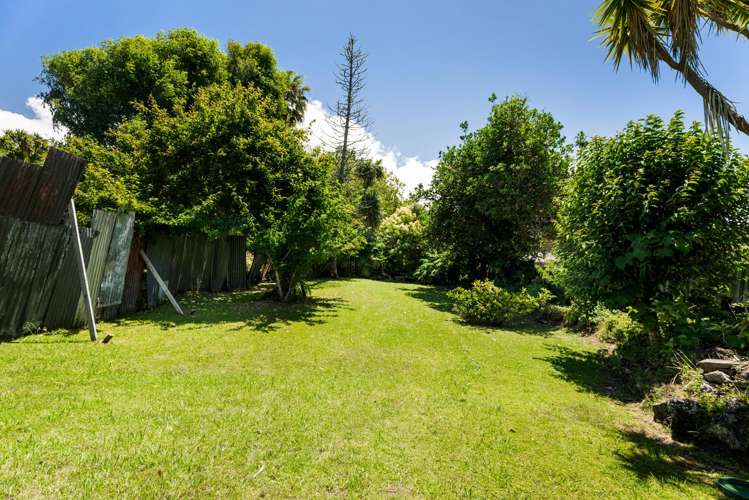 52a Tutanekai Street_0