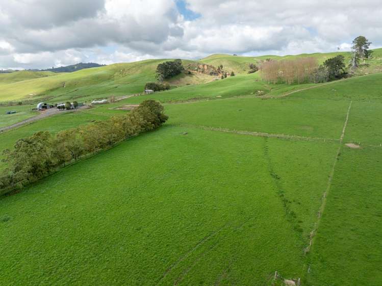 652 Tainui Road Morrinsville_5