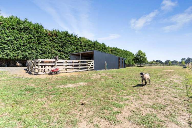 505 Waiau Pa Road Waiau Pa_13