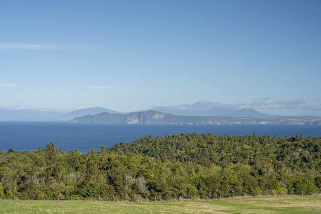 1679 Whangamata Road Marotiri_1