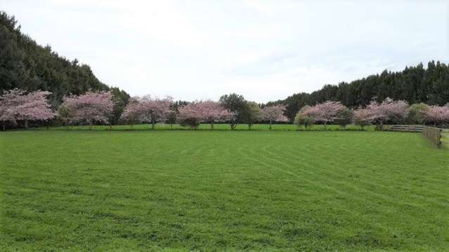 10a Brighton Grove Newstead_2