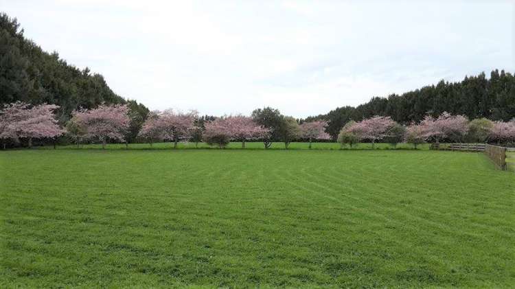 10a Brighton Grove Newstead_2