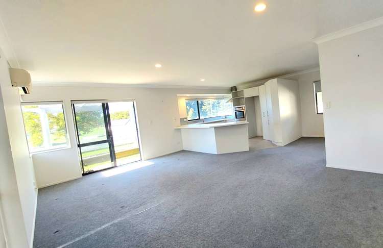 725a Cameron Road Tauranga South_3