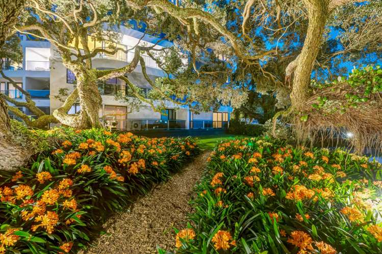 2C/5 The Promenade Takapuna_17