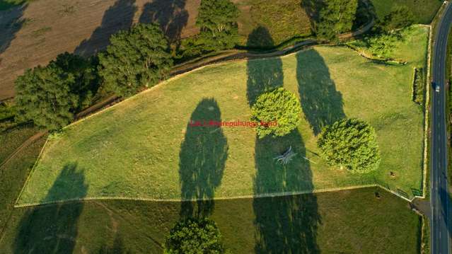 Wharepuhunga Road Te Awamutu_3