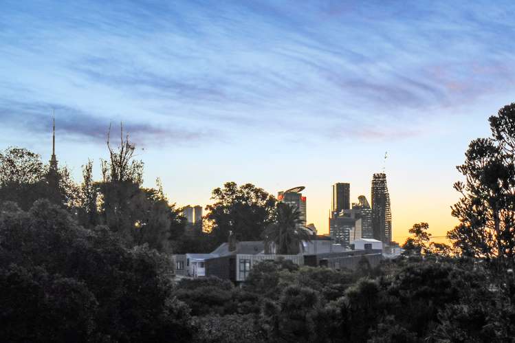 11 Alberon Street Parnell_9