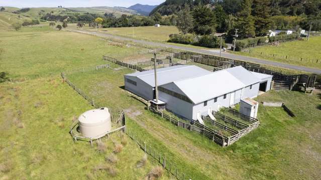 453 Dry River Road Martinborough_2