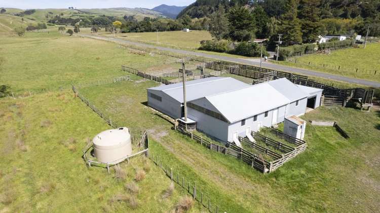 453 Dry River Road Martinborough_2