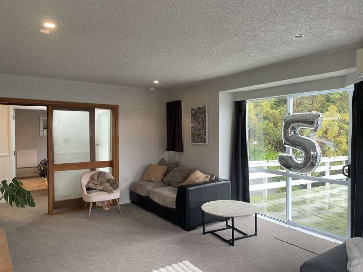 22a Hine Road 10629_6