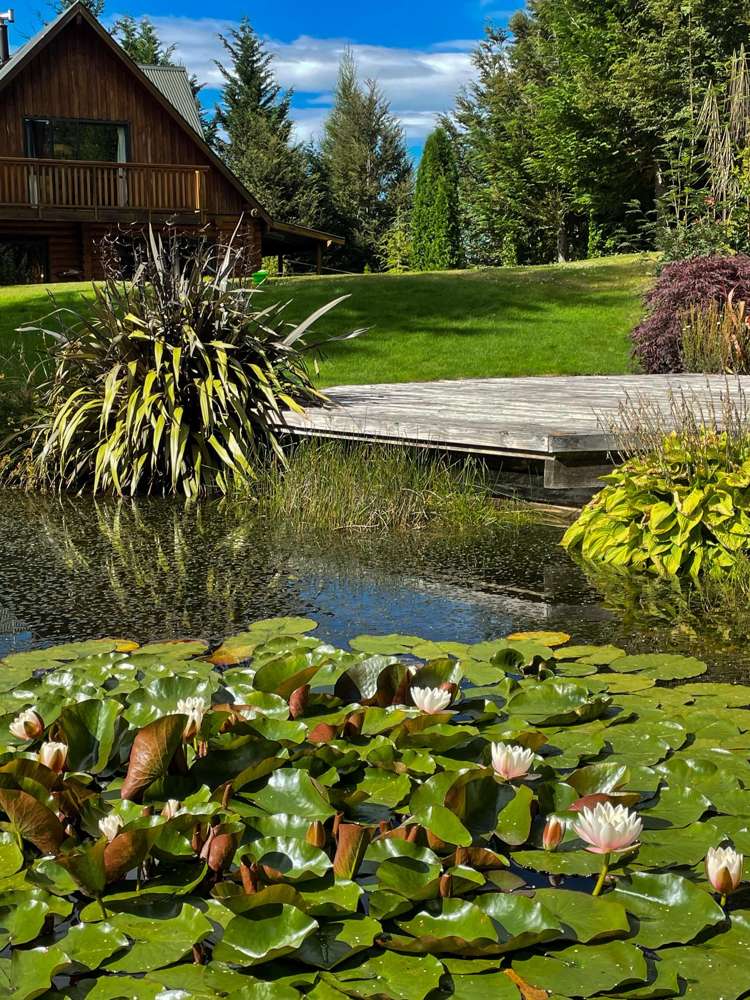 81 Mt Lyford Avenue Mt Lyford_2