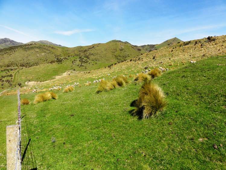 231 Powers Road Hawarden_5