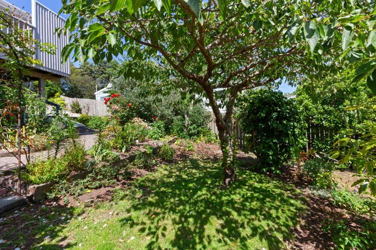 5 Sunset Terrace Waikanae Beach_10
