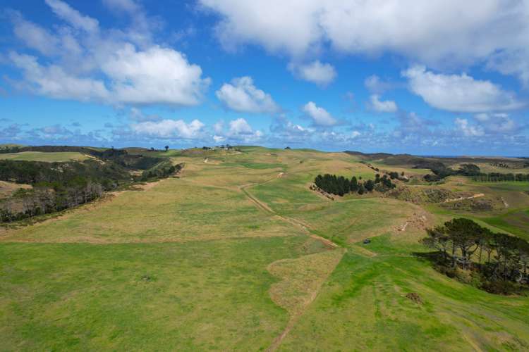 796 Mahuta Road Dargaville Surrounds_5
