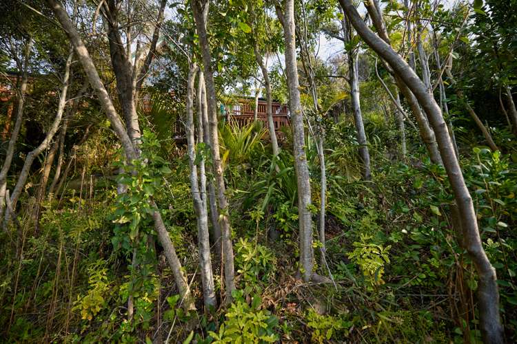 11 Maui Street Kaikoura_61