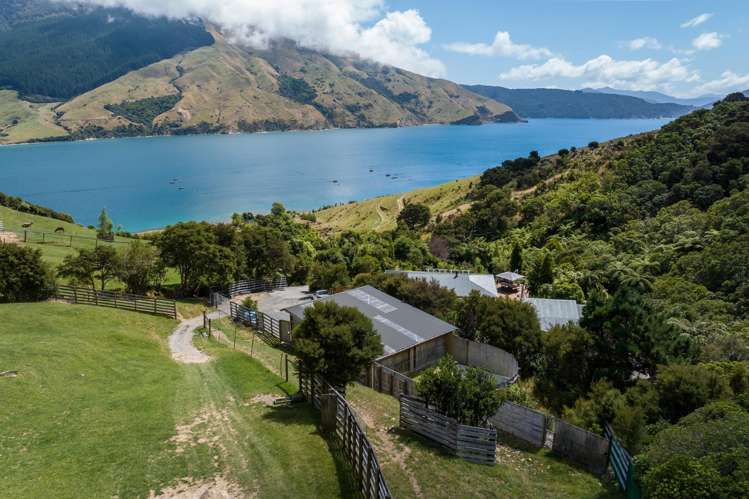 Lot 1 Anakoha Bay Marlborough Sounds_52