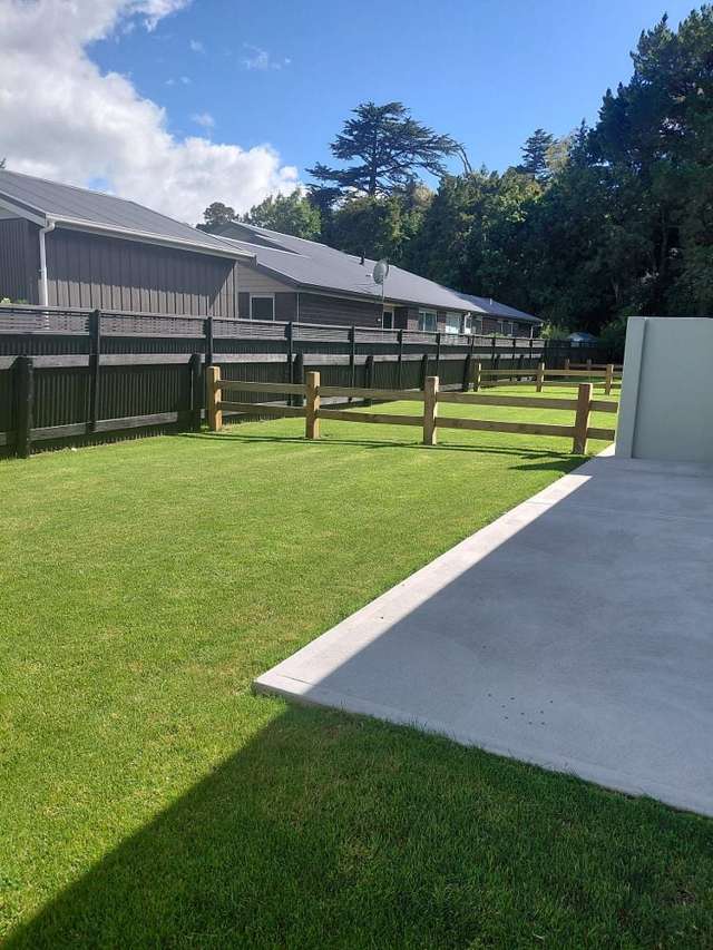 New 1 Bedroom Unit in sunny, quiet location