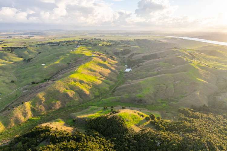 98 Rowland Road Dargaville Surrounds_17