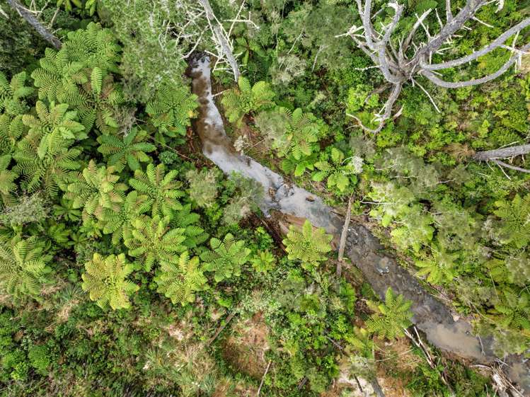 225 Rocky Cutting Road Papamoa_2