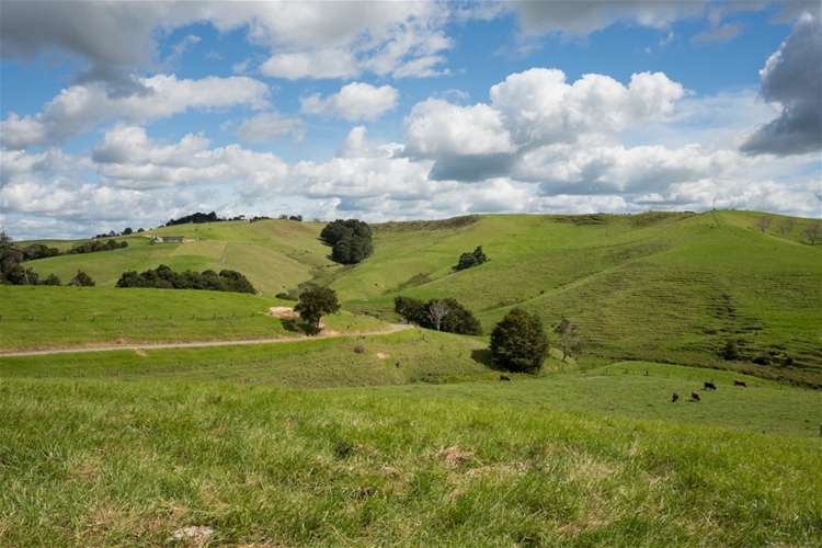 69 Fraser Road Kawakawa_11