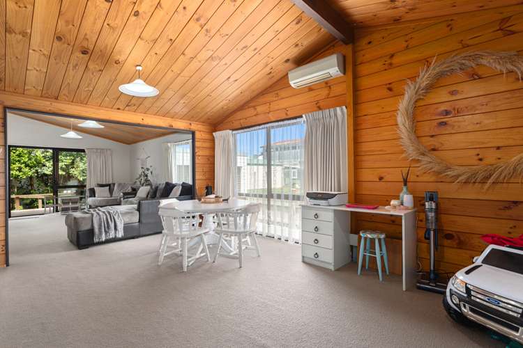 36 Potts Avenue Opotiki and Surrounds_7