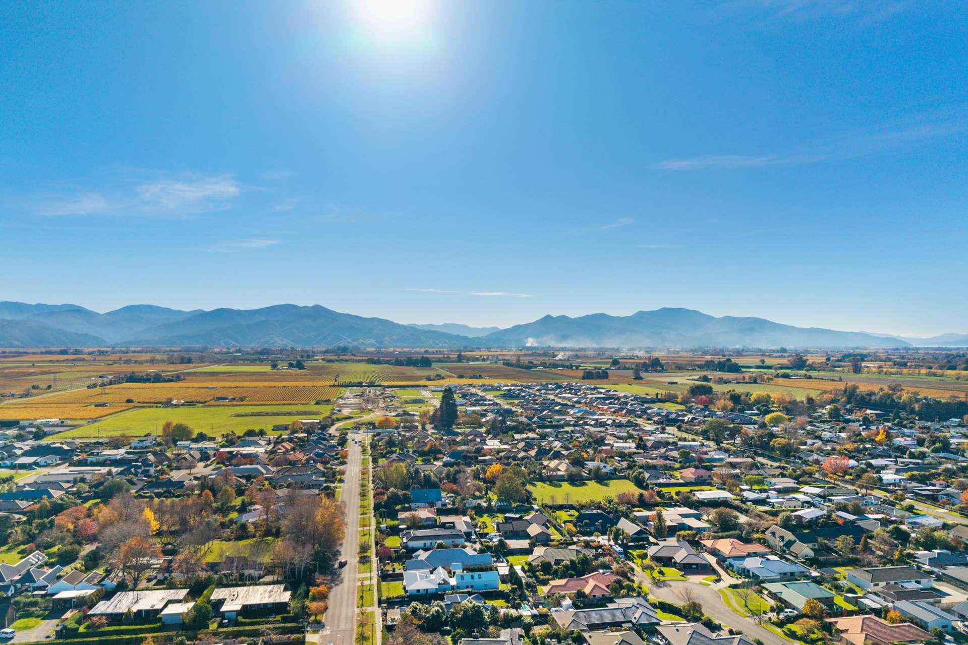 Lot 115 Rose Manor Subdivision Springlands_0