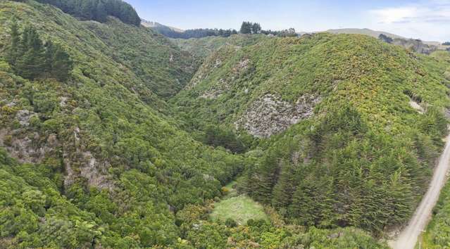 Nature lover's sanctuary