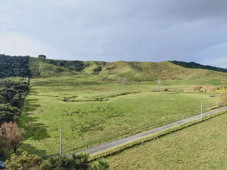 Te Moho Road Taipa_15
