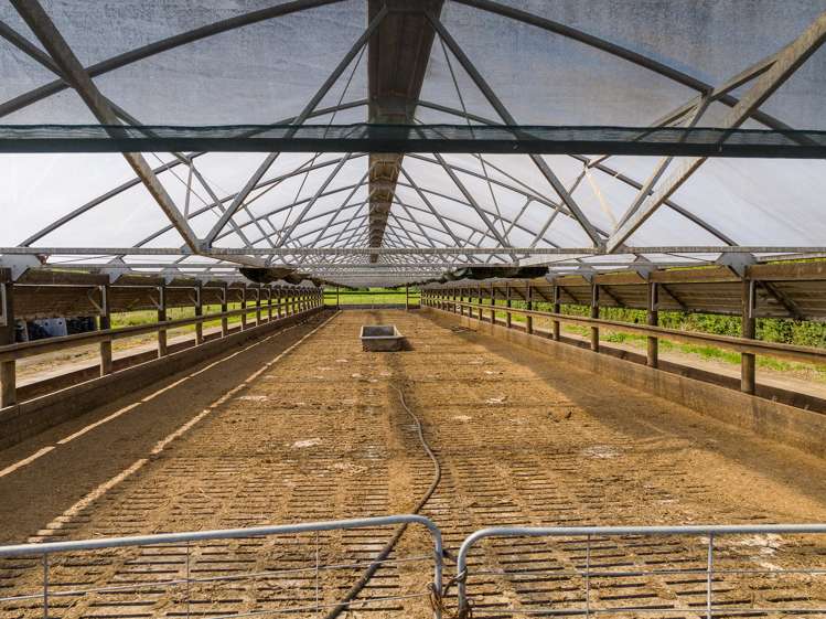 6 Tahuroa Road Tauwhare_23