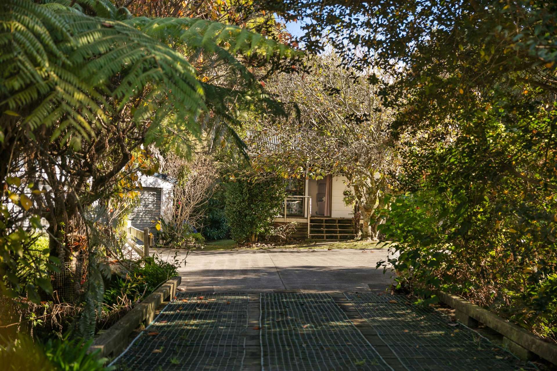 449 Kauaeranga Valley Rd Thames_0
