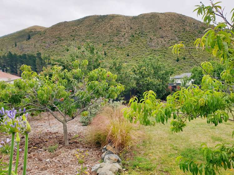 21 Gordon Street Kurow_6