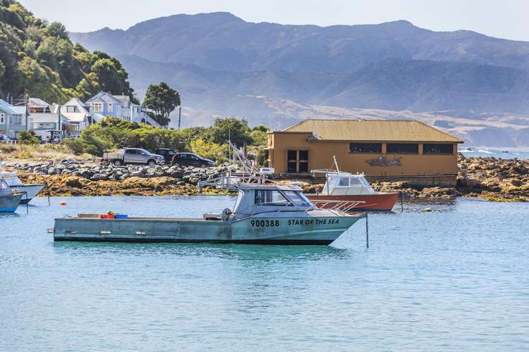 9/52 High Street Island Bay_15